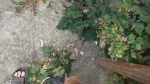 Как пользоваться дрелью