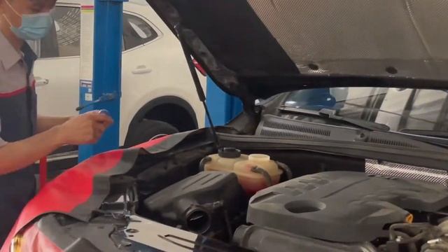 General Inspection смотреть онлайн