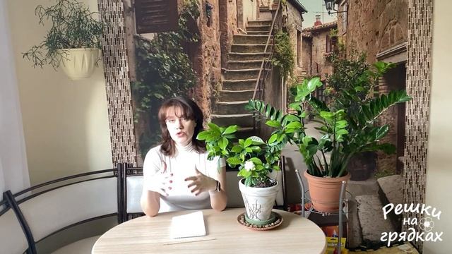 Гардения цветет | Секреты ухода! смотреть онлайн