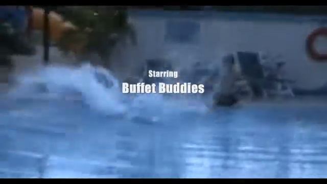 Matt Harding Wrestling by Buffet Buddies смотреть онлайн