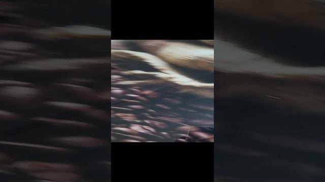 МАКС-2: Распаковка модуля управления стеклоподъемниками Lada Vesta на 4 стекла.mp4 смотреть онлайн