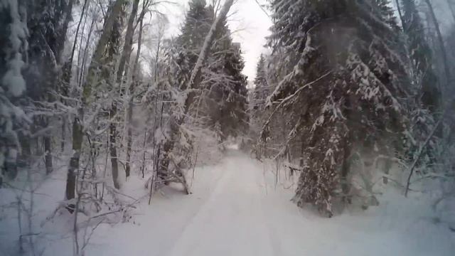 161203 Medved Shatun смотреть онлайн