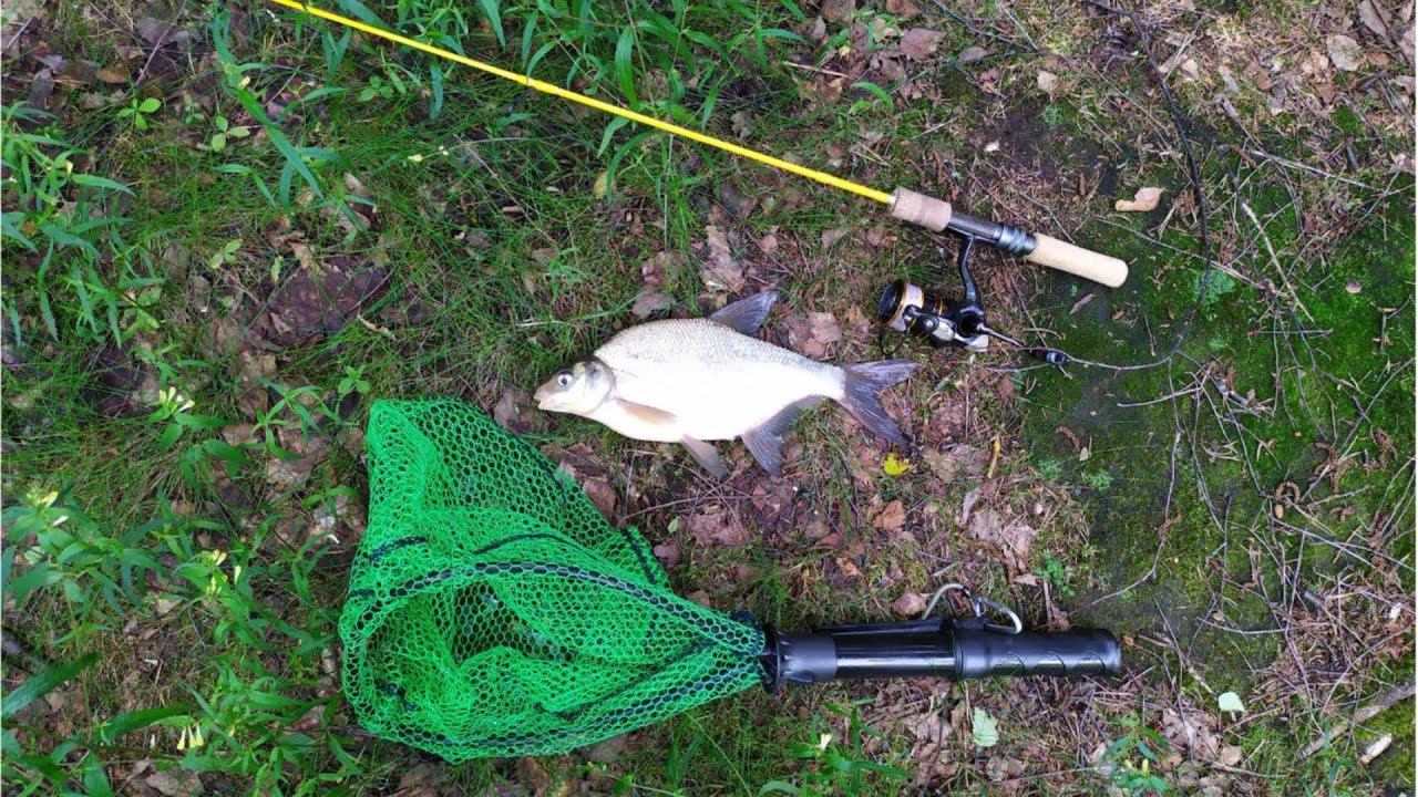 #464 #мормышинг | Микро речка | Лещ, плотва, окунь | смотреть онлайн