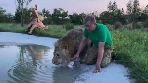 Верхом на ЛЬВЕ СУЛТАНЕ ! Russian Lion man !