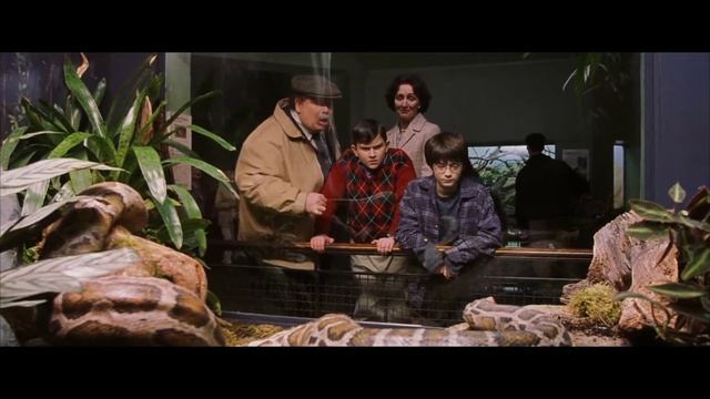 Harry potter talking to snake in zoo full scene | Harry Potter and the philosopher's stone HD смотреть онлайн