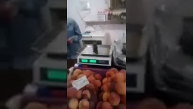 Обвес в Витязево.Анапа. смотреть онлайн