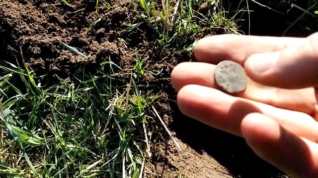 Коп 2017 с E-Trac. Лес забрал всё, нам оставив только медь. смотреть онлайн