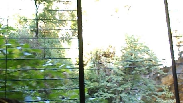 DSCN7867Гуамское ущелье сентябрь 2024