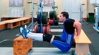 Отжимания от лавки сзади: техника выполнения смотреть онлайн