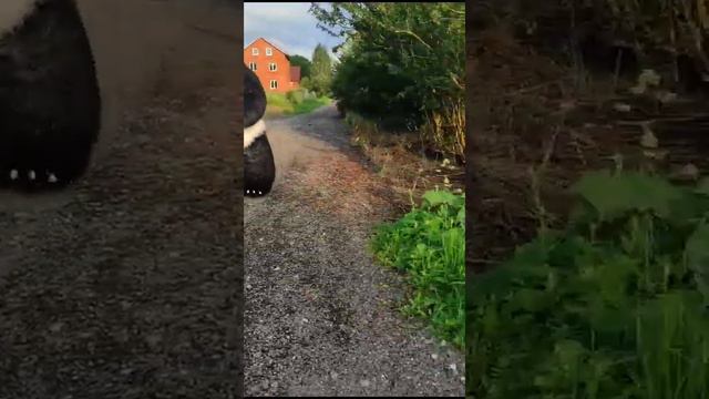 поздравления для двух именинников