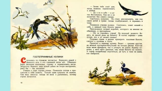 КАК УТКА ЛИСУ ВЫЛЕЧИЛА. ГОСТЕПРИИМНЫЕ КУЛИКИ