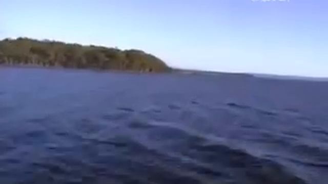 Краткая история каторжной Австралии ИЛИ БРИТАНСКИЙ ГУЛАГ 19 ВЕКА смотреть онлайн