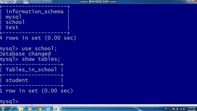 How to insert records into the table | insert into statement | MySQL Tutorial | Class-11 IP смотреть онлайн