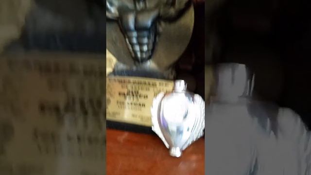 Mis trofeos смотреть онлайн