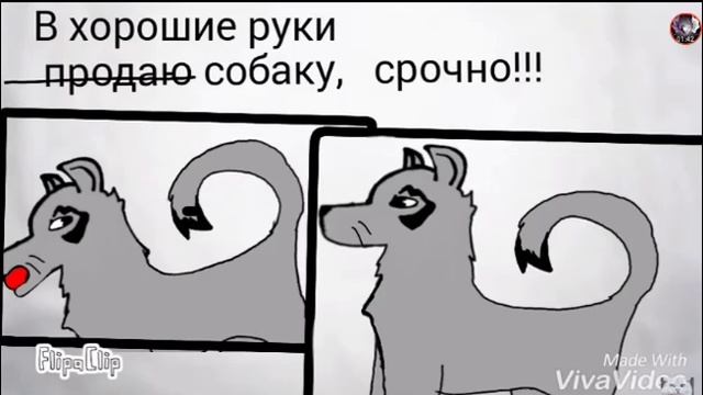 Грустный Стих, "Его Купила Девушка На Птичке" смотреть онлайн