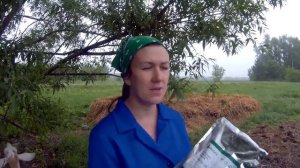 ✿БЫСТРЫЙ ПЕРЕГНОЙ ИЗ НАВОЗА❀. БАКТЕРИИ ФИРМЫ БИОЛАТИК