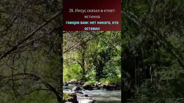 Евангелие от Марка - Глава 10. Читаем Библию под музыку - #VerticalVideoBible смотреть онлайн