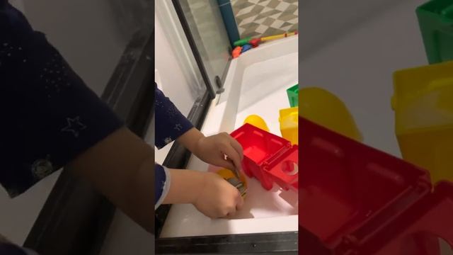 Ракушки из моря и покупные