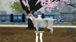 Вопросы и задания по SGS|Sane Van