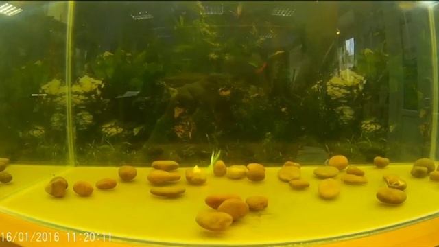 Небольшой обзор приманки "Кальмар" смотреть онлайн