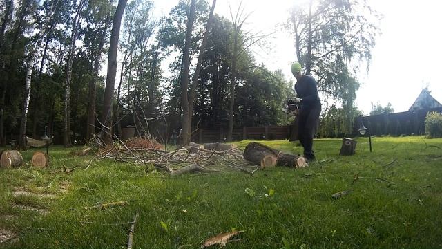 Удаление 4-ех вязов в Тульской области. Арбористика. Удалить дерево. Спилить дерево. смотреть онлайн