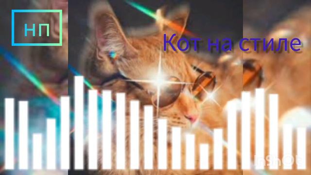Кот на стиле (песня) смотреть онлайн