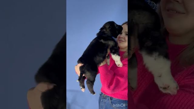 Ю-Хард 1 мес смотреть онлайн