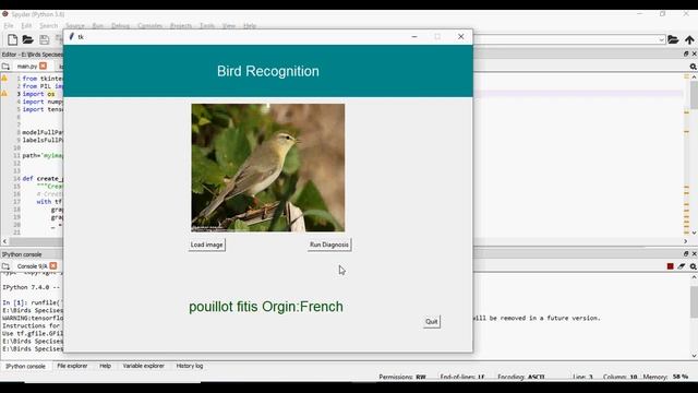 Bird Species Identification using Deep Learning on GPU platform in Python смотреть онлайн