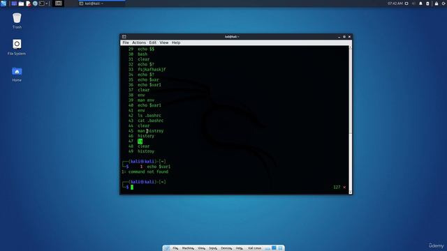 2.8. Kali Linux CLI - Bash History Command смотреть онлайн