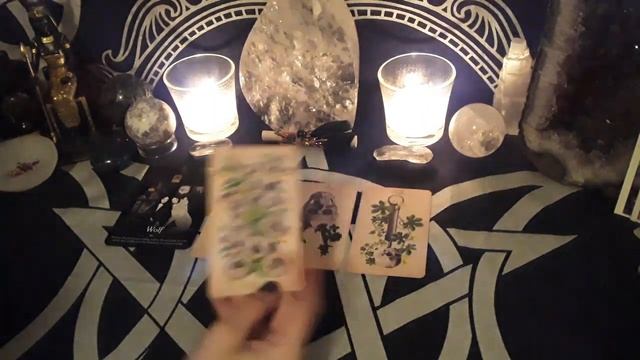 ?️Leo♌-Follow the calling!!-?Scorpio Season 2022? смотреть онлайн