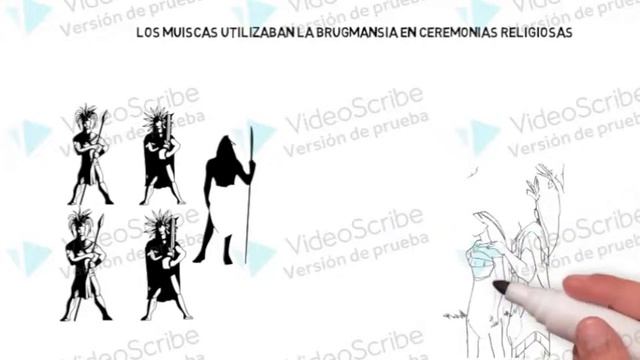 Mitos, Leyendas y Más sobre Brugmansia Arborea смотреть онлайн