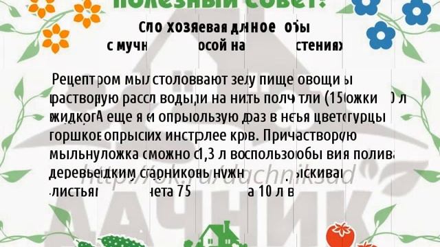 ЗАЩИТИМ ОГОРОД БЕЗ ХИМИИ смотреть онлайн