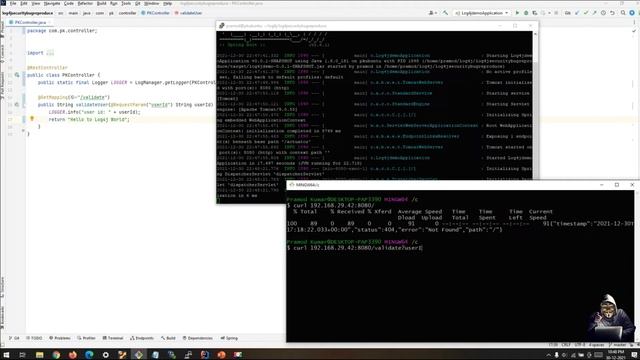 Log4j Security Vulnerabilities - With Exploit POC /Live Demo смотреть онлайн