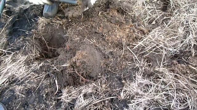 Поиск золота у реки очередной выход смотреть онлайн