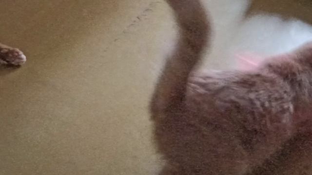 Дискотека в воскресенье смотреть онлайн