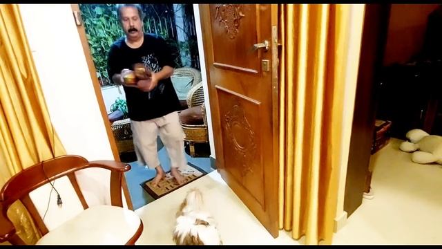 Такие цветы мне больше не дари. Подари, кому хочешь! смотреть онлайн