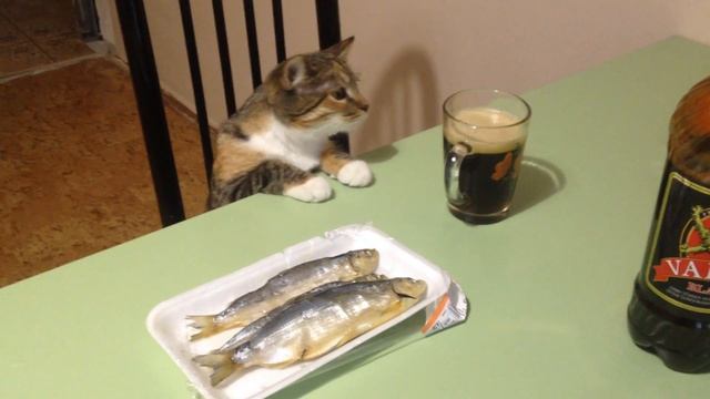 Хочется, хочется, хочется! Вкусного всегда очень хочется! смотреть онлайн