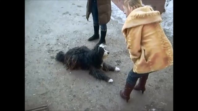 Нижняя Салда училище 2007 год смотреть онлайн