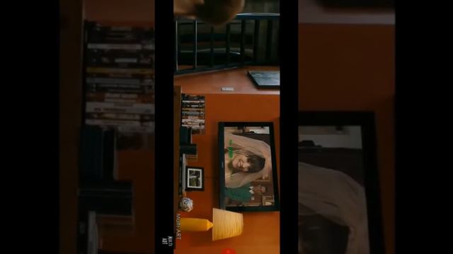 Незабудка-реакция на песню смотреть онлайн