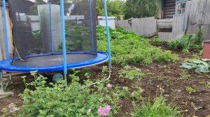 В ГОСТЯХ У СЕСТРЫ/САША С ЗЯТЕМ СДЕЛАЛИ БОЛЬШУЮ РАБОТУ🤦