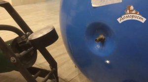 Видеоответ "Как подключить насос к гидроаккумулятору"