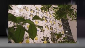 Характеристики плитки: РАЗМЕР