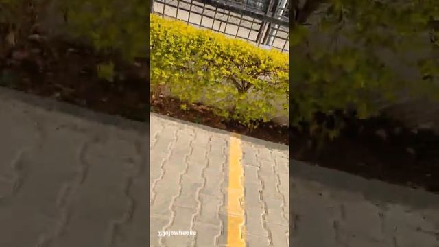 Mahindra xuv700 how to open tailgate from inside in case of emergency or dead battery ?| tutorial смотреть онлайн