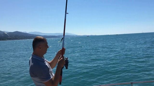 Морская рыбалка в Сочи на яхте Лодия смотреть онлайн