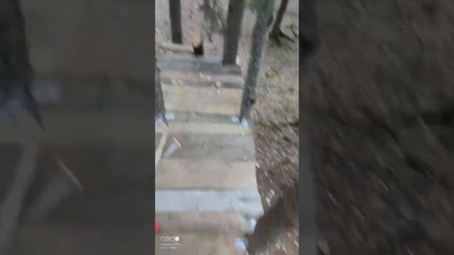 gooda Домик на дереве#1(начало положено ) смотреть онлайн