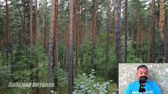 Пропaвший муж. Тайная жизнь, ставшая явной смотреть онлайн