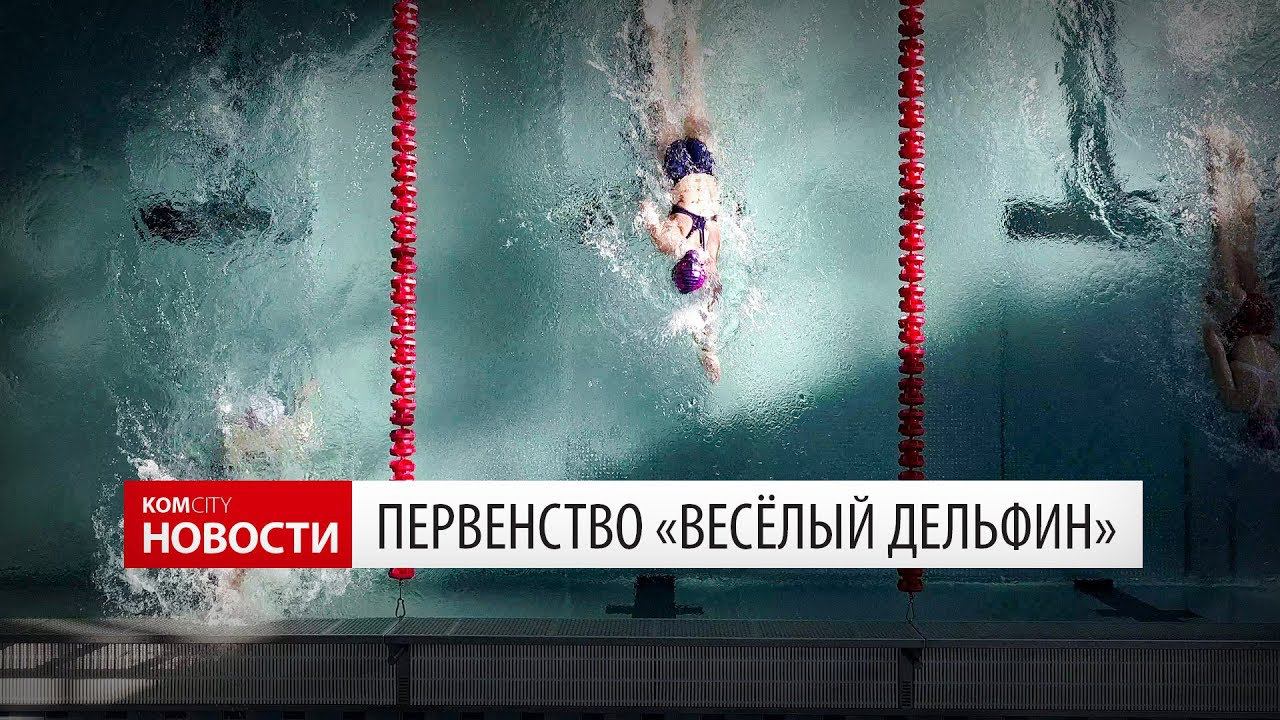 Komcity Новости — Первенство «Весёлый дельфин», 23.02.18 смотреть онлайн