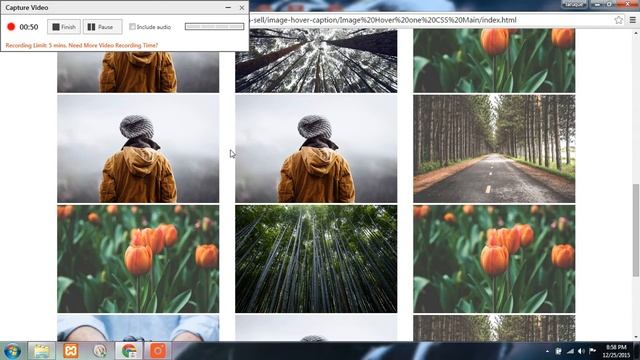 Pure CSS Image hover effect смотреть онлайн
