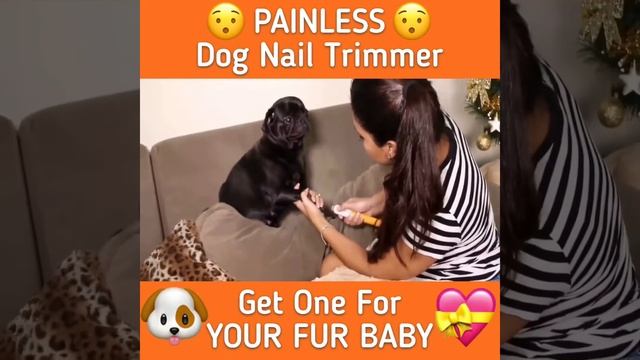 Painless Dog Nail Trimmer смотреть онлайн