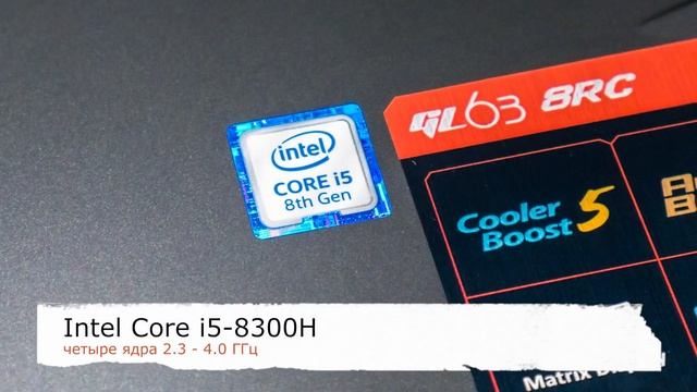 Экспресс-обзор ноутбука MSI GL63 8RC-467RU смотреть онлайн